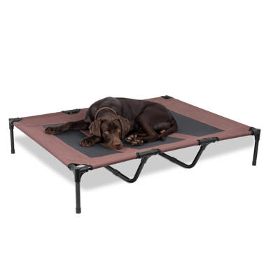 Pet 2025 cot large